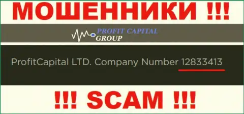 Регистрационный номер ProfitCapitalGroup, который представлен кидалами на их web-портале: 12833413