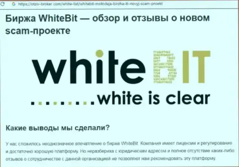 White Bit - это организация, взаимодействие с которой приносит только лишь убытки (обзор)