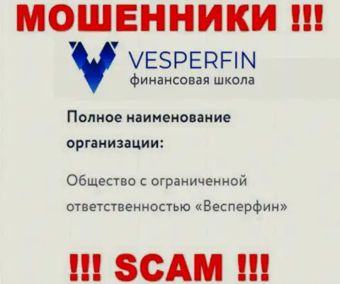 Инфа про юридическое лицо интернет-мошенников ВесперФин Ком - ООО Весперфин, не обезопасит Вас от их загребущих рук