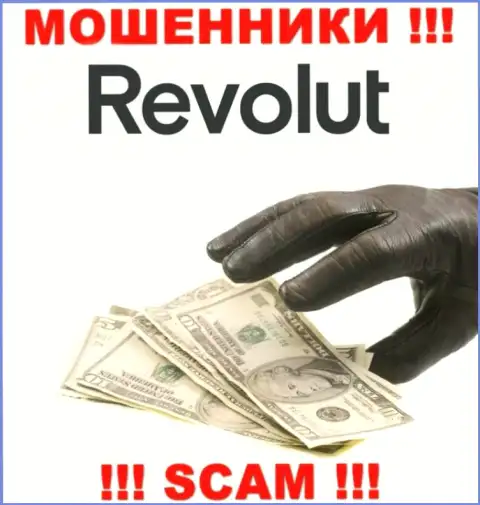 Ни денежных средств, ни дохода с организации Револют Ком не заберете, а еще и должны останетесь данным internet ворам
