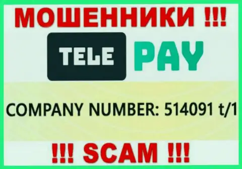 Регистрационный номер ТелеПай, который указан мошенниками у них на сайте: 514091 t/1