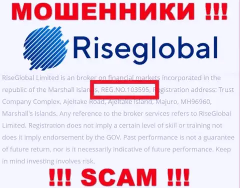 Регистрационный номер РайсГлобал Юс, который мошенники засветили у себя на web-странице: 103595