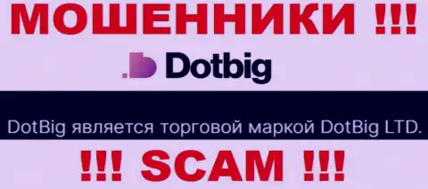 Dot Big - юридическое лицо интернет-махинаторов компания ДотБиг ЛТД