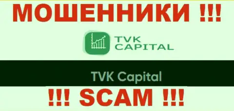 TVK Capital - это юридическое лицо ворюг ТВК Капитал