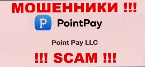 На сайте ПоинтПей Ио говорится, что Point Pay LLC - это их юр. лицо, но это не обозначает, что они надежные