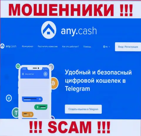 Взаимодействовать с AnyCash весьма опасно, ведь их направление деятельности Виртуальный кошелёк - это обман